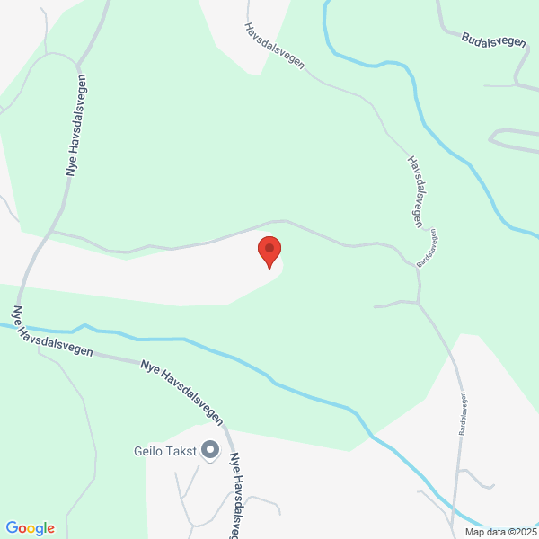 Bilde fra Google Maps, sentrert på adressen