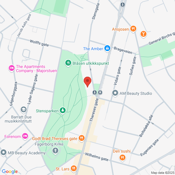 Bilde fra Google Maps, sentrert på adressen