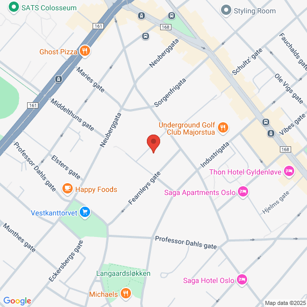 Bilde fra Google Maps, sentrert på adressen