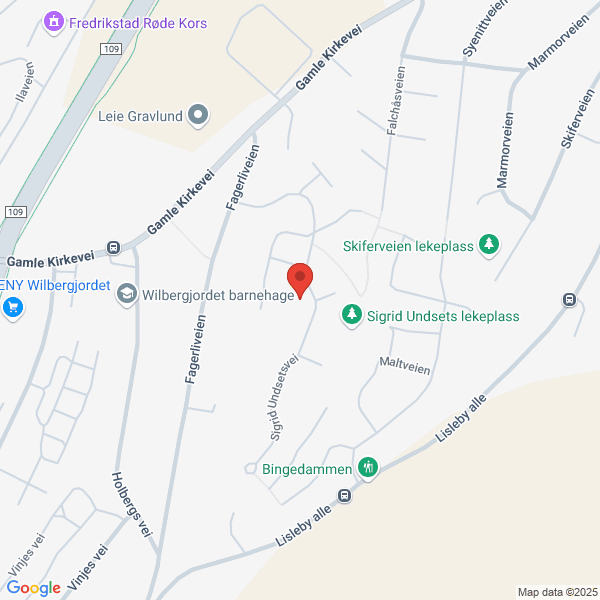 Bilde fra Google Maps, sentrert på adressen