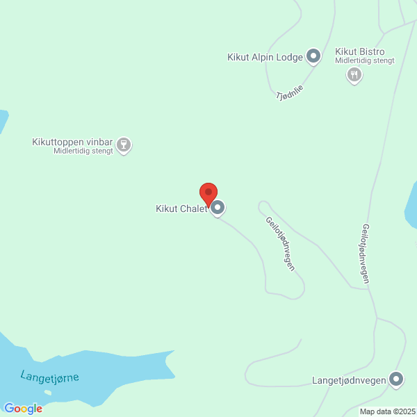 Bilde fra Google Maps, sentrert på adressen