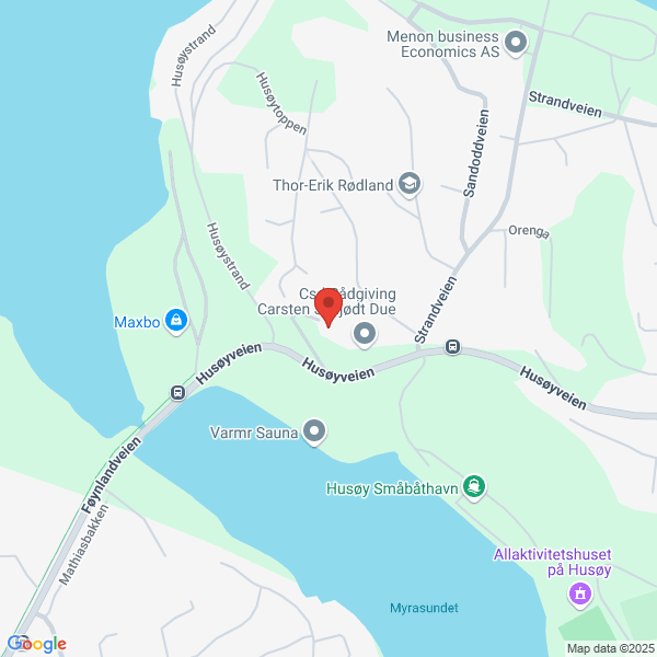 Bilde fra Google Maps, sentrert på adressen
