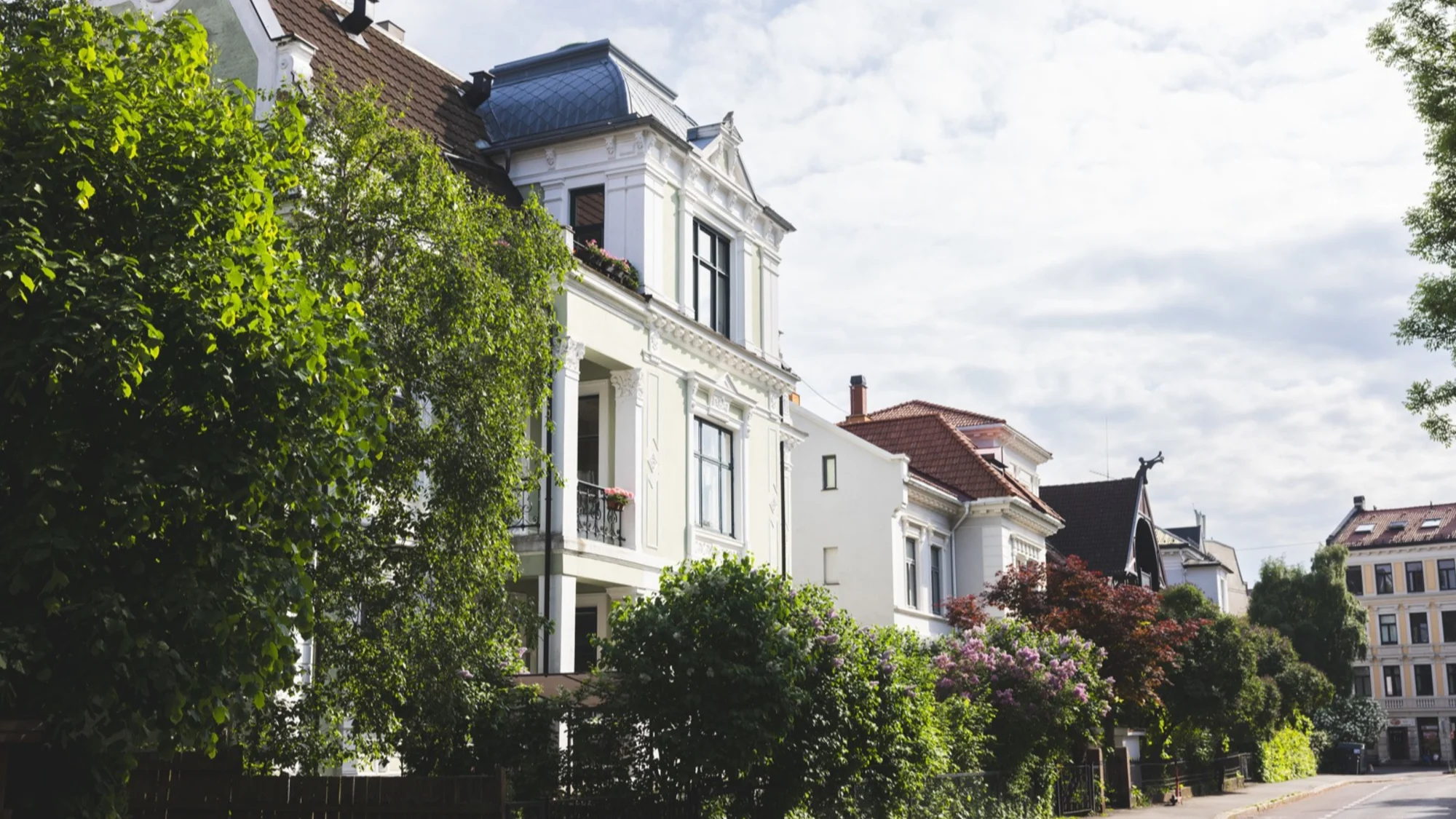 hovedbilde prospekt